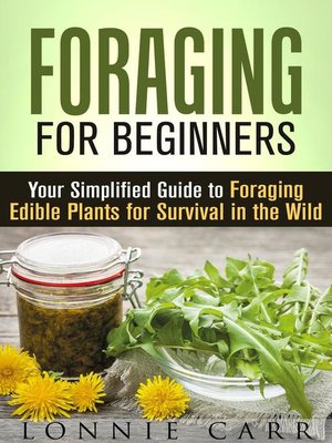 cover image of Foraging for Beginners